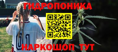 винт Пенза
