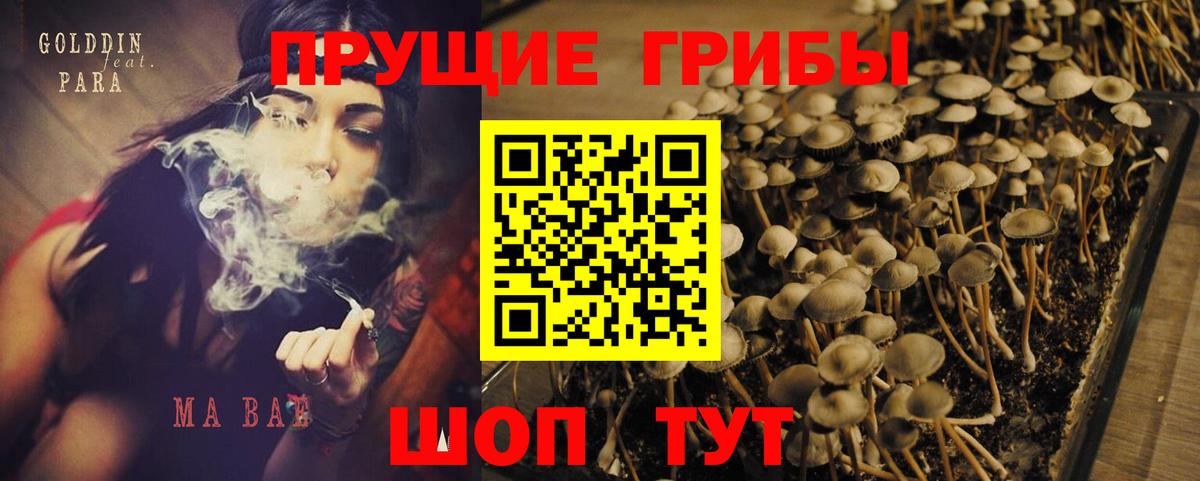 Галлюциногенные грибы Psilocybe  Вход с VPN  Псилоцибиновые грибы Magic Shrooms  Сухой Лог 