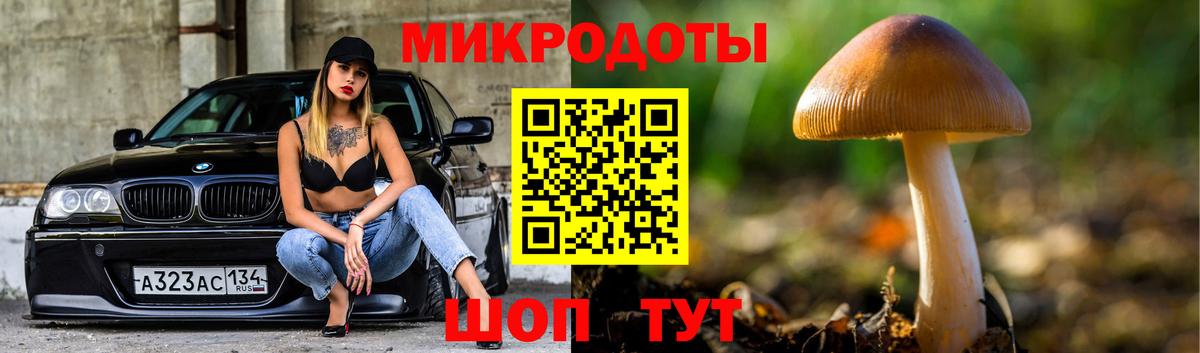 Псилоцибиновые грибы Cubensis Сухой Лог